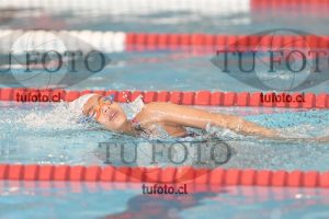 Image 1 libre D 00313