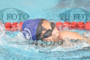Image 1 libre D 00316