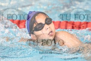 Image 1 libre D 00317