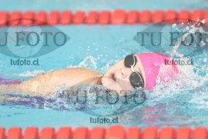 Image 1 libre D 00319