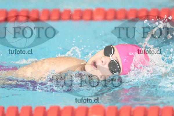 Image 1 libre D 00319