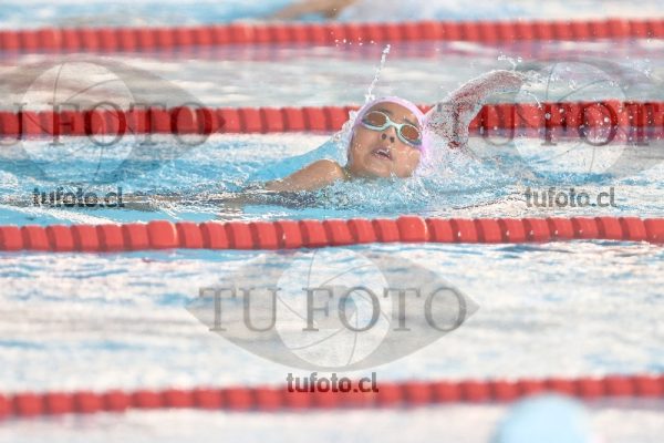 Image 1 libre D 00321