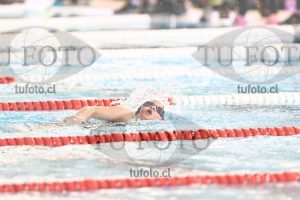 Image 1 libre D 00323