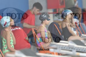 Image 1 libre D 00329