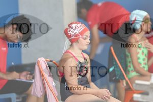 Image 1 libre D 00331