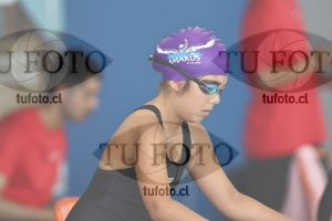 Image 1 libre D 00334