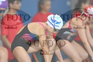 Image 1 libre D 00335