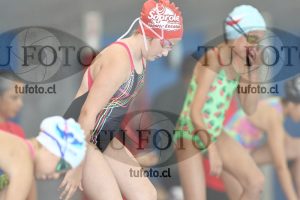 Image 1 libre D 00336
