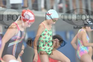 Image 1 libre D 00337