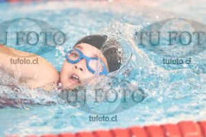 Image 1 libre D 00341