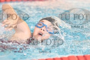 Image 1 libre D 00342