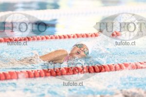 Image 1 libre D 00343