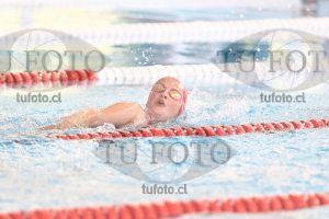 Image 1 libre D 00344