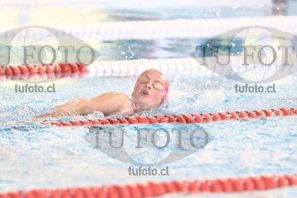 Image 1 libre D 00344