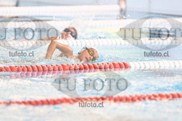 Image 1 libre D 00346