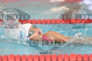 Image 1 libre D 00347