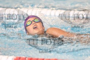 Image 1 libre D 00348