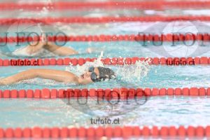 Image 1 libre D 00349