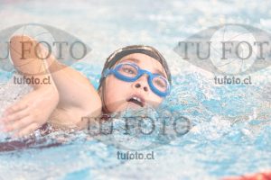 Image 1 libre D 00353