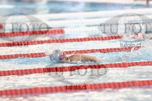 Image 1 libre D 00354