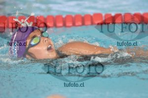 Image 1 libre D 00355