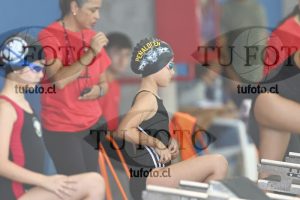 Image 1 libre D 00360