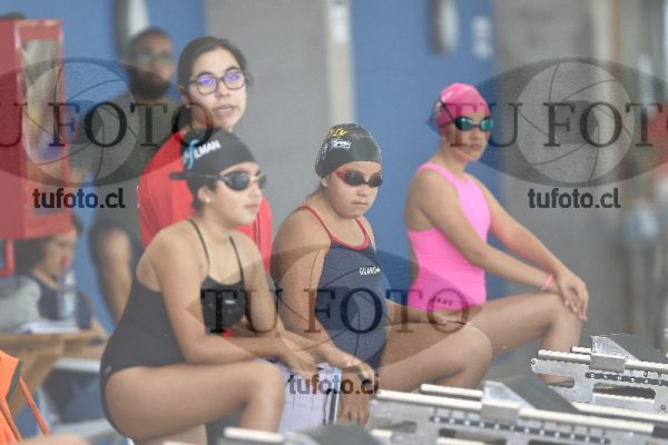 Image 1 libre D 00361