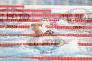 Image 1 libre D 00367