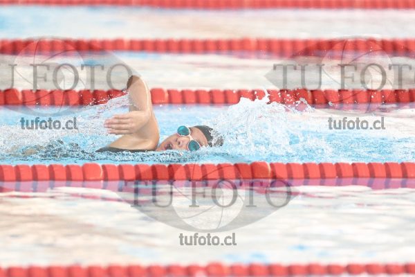 Image 1 libre D 00374