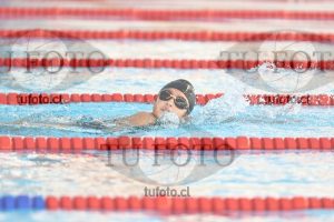 Image 1 libre D 00376