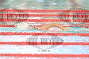 Image 1 libre D 00378