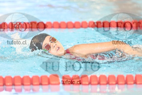 Image 1 libre D 00380