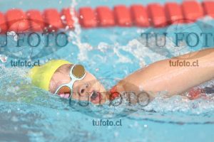 Image 1 libre D 00381