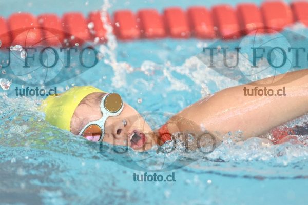 Image 1 libre D 00381