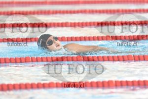 Image 1 libre D 00384
