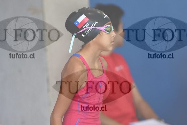 Image 1 libre D 00387