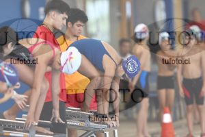 Image 1 libre D 00392