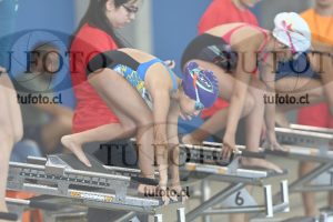 Image 1 libre D 00394