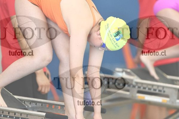 Image 1 libre D 00397