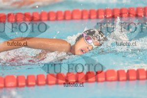 Image 1 libre D 00400