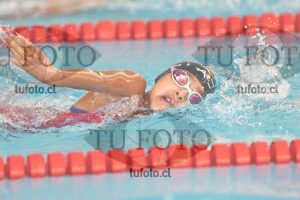 Image 1 libre D 00401