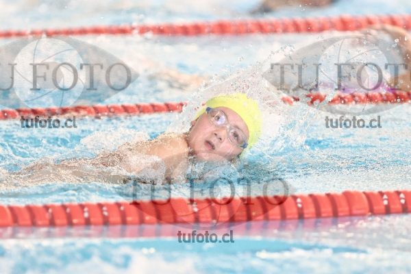 Image 1 libre D 00402