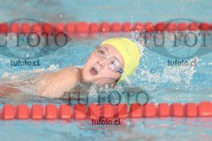 Image 1 libre D 00412