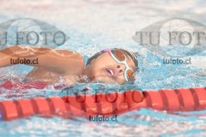 Image 1 libre D 00413