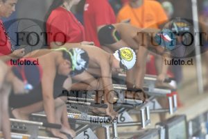 Image 1 libre V 00026