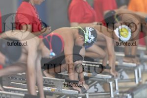 Image 1 libre V 00027