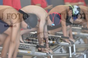 Image 1 libre V 00028