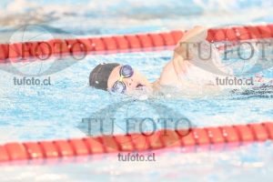 Image 1 libre V 00036