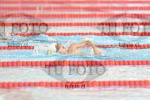 Image 1 libre V 00038