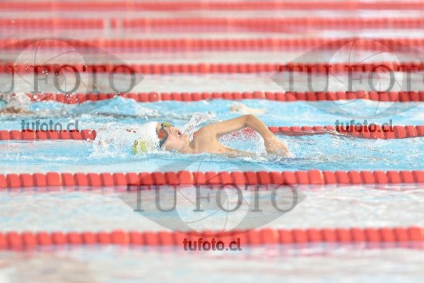 Image 1 libre V 00038